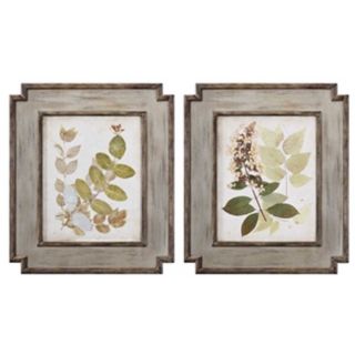 Set of 2 Uttermost Nature's Collage 25 1/4"  Wide Wall Art   #W2821