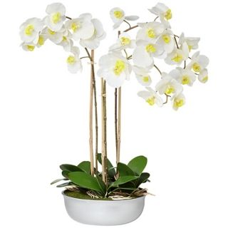 . Real Touch moth orchid. Silver finish pot. 32 wide. 31 high