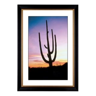 Saguaro Cactus At Sunrise Giclee 41 3/8" Wide Wall Art   #55925 80384