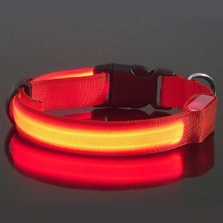 9Protecollar   Adjustable Night Safety Double Sided LED Dog Collar