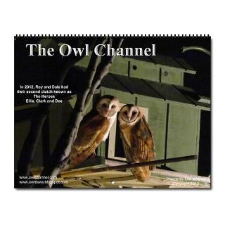 The Owl Channel 2013 2013 Wall Calendar by owlchannel