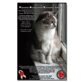 2013 Veterinarian Calendar  Buy 2013 Veterinarian Calendars Online