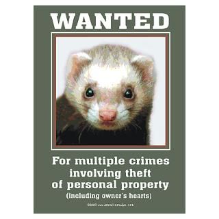 Ferret Posters & Prints