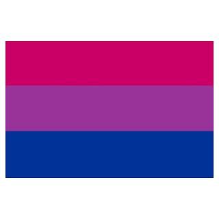 Bisexual Flag Posters & Prints