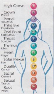 Chakras of the chromatic scale of music. Represents our ascension