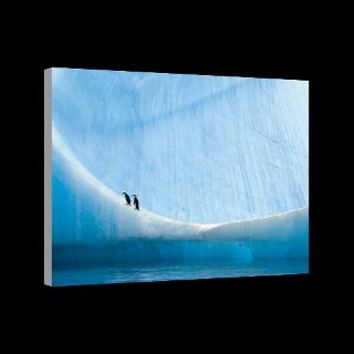 Antarctic Peninsula, Antarctica  National Geographic Art Store