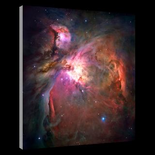National Geographic Art Store  2012_01_10 016  Orion Nebula