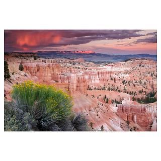 Wall Art  Posters  Bryce Canyon Poster