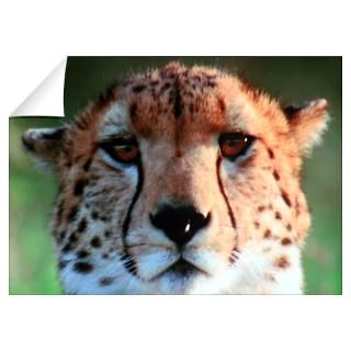 Animals And Wildlife Wall Decals  Animals And Wildlife Wall Stickers