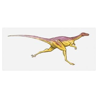 Wall Art  Posters  Illustration of Coelophysis