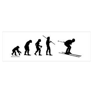 Wall Art  Posters  Ski Evolution Poster