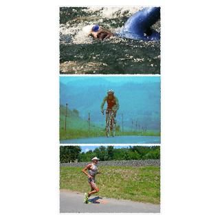 Wall Art  Posters  SOLO TRIATHLON TRIPTYCH PAINTING