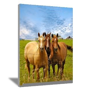 Three Horses Posing in Pasture Canvas Art