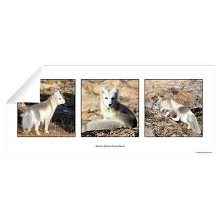 Wall Art  Wall Decals  Arctic Fox Wall Decal