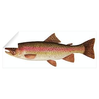 Wall Art  Wall Decals  Rainbow Trout Wall Decal