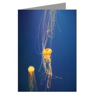 Sea life 2011 jellyfish Greeting Cards (Pk of