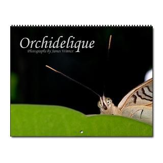 Butterfly Calendar Reprint (2007) for $25.00