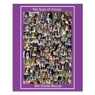 Faces of Rescue Poster  Minnesota Sheltie Rescue Online Store