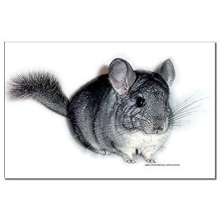 view larger chinchilla poster $ 5 99 qty availability product number
