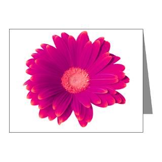 Baby Girl Note Cards  Electric Pink Gerbera Note Cards (Pk of 10