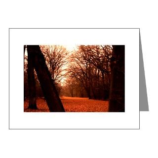 Autumn Gifts  Autumn Note Cards  Note Cards (Pk of 20)