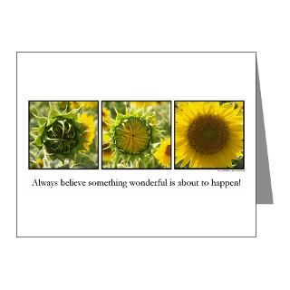 Gifts  Flowers Note Cards  Always Believe Note Cards (Pk of 20
