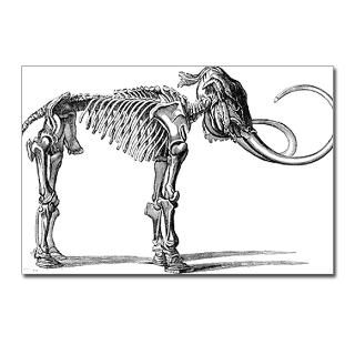 Oncoul Mammoth 19th century artwork   Postcards ( for $9.50