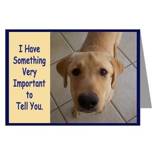 Breed Greeting Cards  Yellow Lab Birthday Greeting Cards (Pk of 20