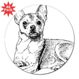 Chihuahua  Pet Drawings