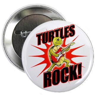 Turtle Buttons  The Turtle Box   From T Shirts To Bumper Stickers