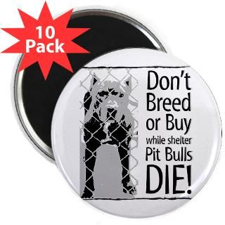 Pit Bulls Dont Breed 2.25 Button (100 pack)