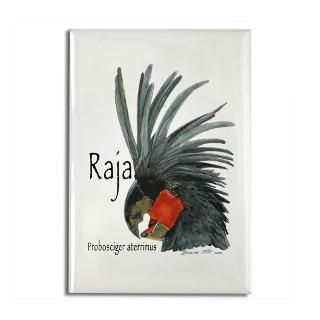 Raja the Black Palm Cockatoo 2.25 Button (10 pack