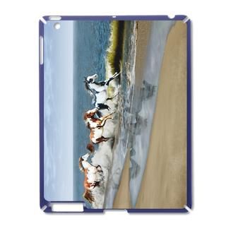 Beach Gifts  Beach IPad Cases  Painted Ocean iPad2 Case