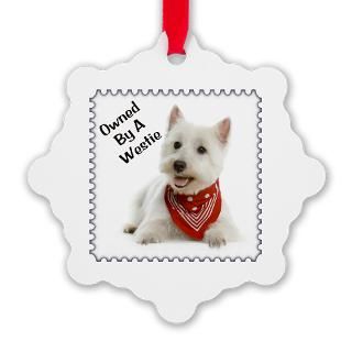 Owned By A Westie 123 Ornament for $12.50