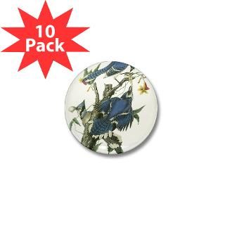 Blue Jay Mini Button (10 pack)