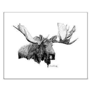Bull Moose Postcards (Package of 8)
