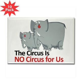 No Circus Elephant Rights  EcoJustice Environmental Justice