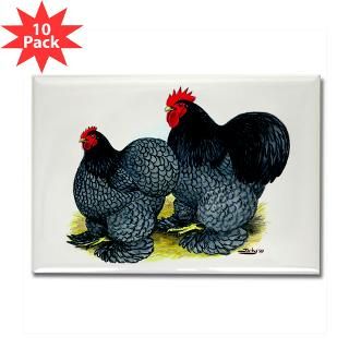 Blue Cochin Rooster and Hen  Diane Jacky On Line Catalog
