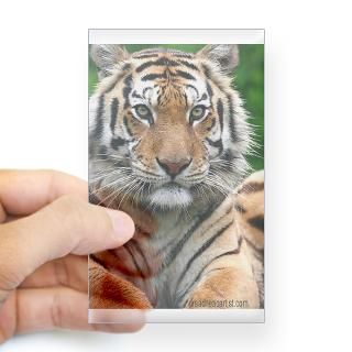 Exotic Feline Rescue Center 156 Tiger Decal for $4.25