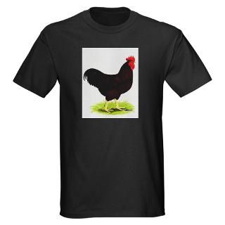 Rhode Island Red Rooster  Diane Jacky On Line Catalog