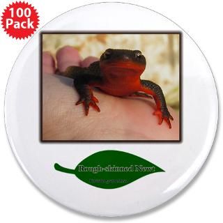 rough skinned newt salamander 3 5 button 100 pac $ 169 99