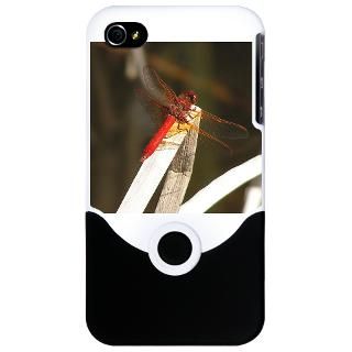 Red Dragonfly  Trackers Tracking and Nature Store