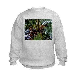 Coconut Palm Tree  A Friend in the Islands Custom Designs