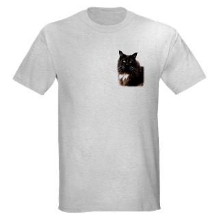 Main Cat T Shirts  Main Cat Shirts & Tees