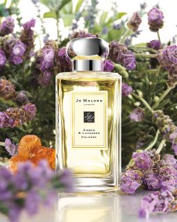jo malone amber lavender collection $ 50 00 $ 110 00 amber the exotic