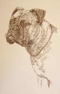 Bullmastiff Dog Art Kline Will Draw Your Dogs Name 22