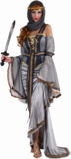 Lady of The Lake Adult Costume Medieval s M L and XL