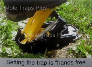Set Design Mole Eliminator Traps Bell Labs Pest Control Lawn