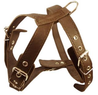 Leather Dog Pulling Harness Excercise Walk Boxer Amstaff 23 29 Size