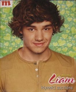 Liam Payne One Direction Poster Centerfold 2408A Louis Tomlinson on